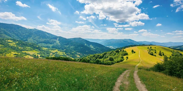 Estrada Através Pasto Colina Verão Paisagem Rural Bonita Montanhas Carpathian — Fotografia de Stock