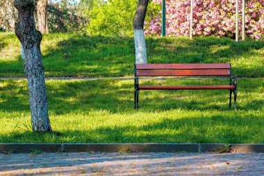 Parktaki boş ahşap bank. Bahar ya da yaz günlerinde güneşli hava. Çimlerin üzerinde yeşil çimenler. Rahatla konsept
