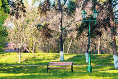 Baharın başında şehir parkında. Yürüme yolunun önündeki ağaçların gölgesinde çimenli çimlerde bir bank. Güneşli bir günde güzel şehir doğası manzarası