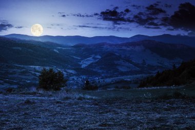 Geceleri dağlık kırsal alan. Tepedeki çimenli çayır. Tepenin üstündeki bulutlar dolunay ışığında. Uzaktaki vadiye bak.