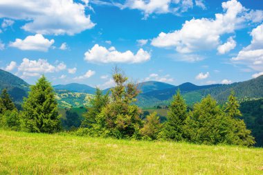 Karpat Dağları 'ndaki kırsal alan. Çayırda ağaçların olduğu yaz manzarası. Parlak mavi gökyüzünde kabarık bulutlar. Uzaklardaki tepelerin ve vadilerin güzel manzarası