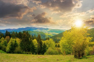 Orman, gün batımında dağlarda çimenli çayırlarda. Akşam ışığında güzel bir kır manzarası. Borzhava sırtının üstündeki mavi gökyüzünde bulutlar. Karpatlar 'da bahar maceraları