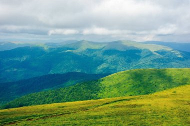 Dağ çayırından geçen patika. Yazın güzel Karpatlar manzarası. Uzak tepenin üstündeki gökyüzünde bulutlar. Rüzgarlı hava