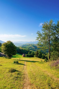Sabah dağlık kırsal alanda. Yazın uzak ve güzel bir tarım arazisi. Tepelerde ağaçlar ve çayırlar