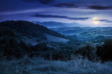 Geceleri dağlık kırsal alan. Dolunay ışığında ormanları, tepeleri ve çayırları olan güzel bir manzara. Uzakta tepe noktası olan bir tepe. Uzak vadideki köy
