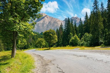 Ormandaki dağların arasından asfalt yol. Güzel taşra ulaşım arka planı. Uzakta yüksek Tatra sırtı olan birleşik manzara. Yaz mevsiminde güneşli hava