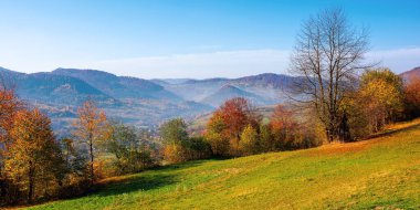Sonbahar mevsiminde dağlık kırsal alan. Rengarenk yapraklarla kaplı tepeler... Uzak vadideki köy. Parlak mavi gökyüzü ile güneşli bir gün. Ukrayna 'nın geleneksel Karpatlar kırsalında