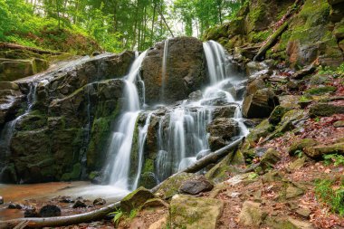 Baharda şelaleli bir manzara. Güçlü su akıntısı kayadan çıkar.