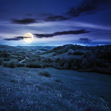 Karpatya kırsalında geceleri. Dağdaki güzel kırsal alan. Dolunay ışığında ıslak otlaklar. Vadiden köye dolambaçlı yollar. Bulutlardaki uzak sırt