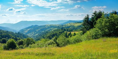 Yazın kırsal alan. Tepelerdeki çayırların uzak vadiye aktığı güzel doğa manzarası. Harika güneşli hava