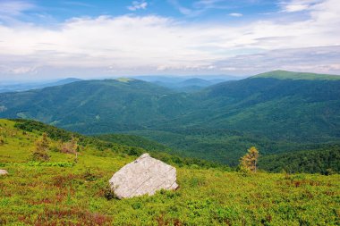 Karpatya yaz dağı manzarası. Çimenli tepesinde kaya olan güzel bir kırsal bölge. Uzaktaki vadiye bak. Mavi gökyüzündeki bulutlar