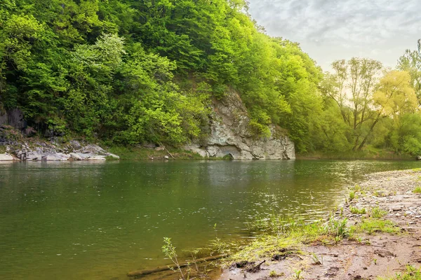 Río Fluye Bajo Roca Hermoso Paisaje Natural Primavera Árboles Hoja —  Fotos de Stock