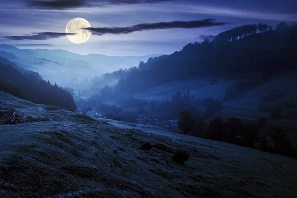 霧の夜の谷だ 遠くの村だ 満月の夜に丘の上に草や花を咲かせます 美しい田園風景 空の暗い雲 — ストック写真
