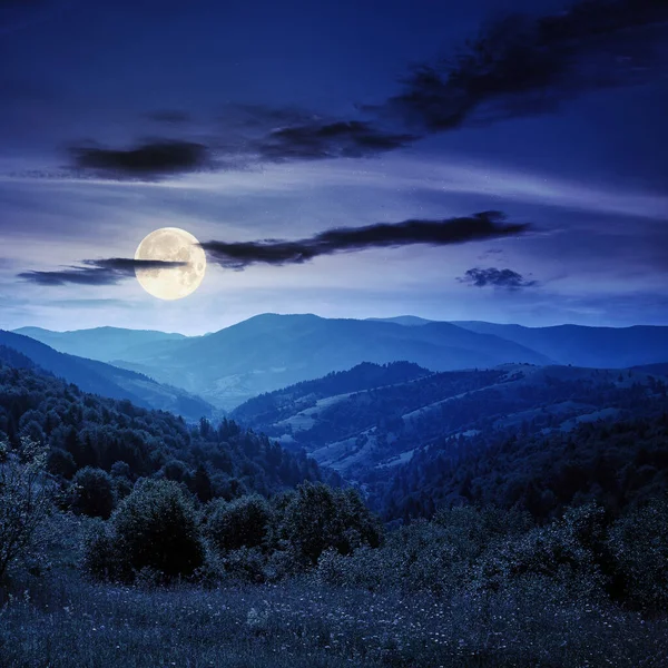 夏の夜の田園風景 丘の上の牧草地が満月の光で遠くの谷に転がり込む美しい自然景観 — ストック写真