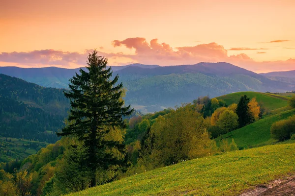 Hügelige Ländliche Berglandschaft Der Abenddämmerung Herrliche Naturkulisse Frühling Wolken Himmel — Stockfoto