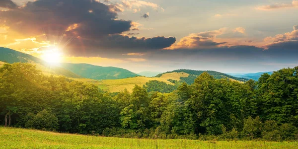 Sommerlandschaft Der Karpaten Bei Sonnenuntergang Schöne Landschaft Abendlicht Buchenwald Und — Stockfoto