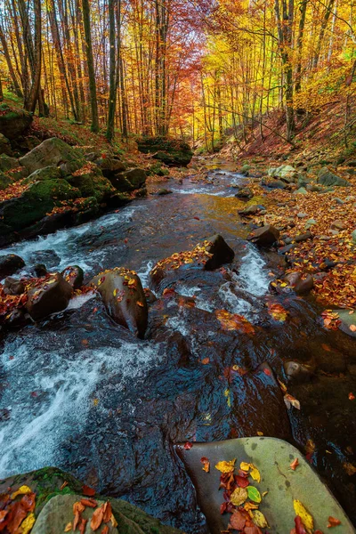 森の中の山川 岩の間の水の流れ 秋の色の木 晴れた前日の天気 美しい自然背景 — ストック写真