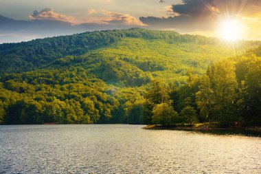 Yazın gün batımında kayın ormanlarının arasında. Dağlardaki güzel doğa manzarası. Akşam ışığında Vihorlat Ulusal Parkı 