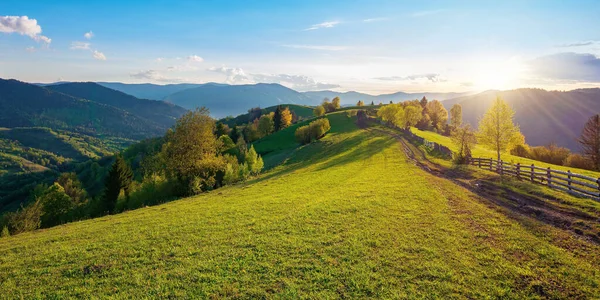 Bomen Achter Het Hek Het Grasveld Lente Landelijk Landschap Het — Stockfoto