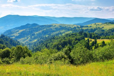Yazın kırsal alan. Tepelerdeki çayırların uzak vadiye aktığı güzel doğa manzarası. Harika güneşli hava