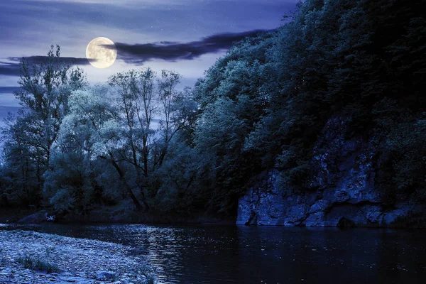 river flow under the rock at night. beautiful nature landscape in spring. deciduous trees on the shore in full moon light