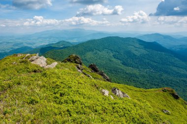 Pikui dağının manzarası. Çimenli yamaçlarda büyük taşlar. Karpat Dağları 'nın yaz manzarası. Borzhava sırtı, bulutlu bir gökyüzünün altında.