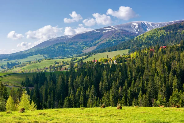 Countryside Landscape Carpathian Mountains Wonderful Nature Scenery Spring Time Fluffy — Zdjęcie stockowe