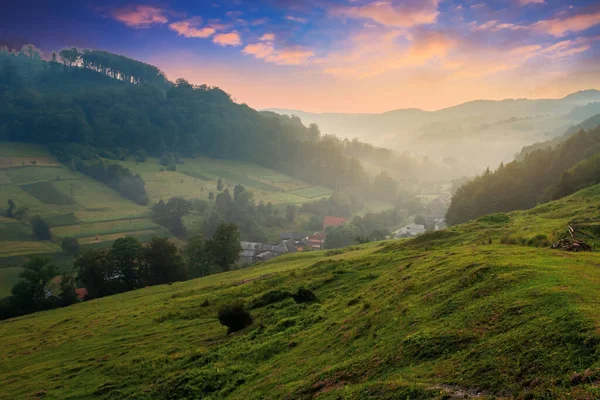 Tal Einem Nebligen Morgen Dorf Der Ferne Gras Und Blumen — Stockfoto