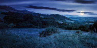Geceleri dağlık kırsal alan. Dolunay ışığında ormanları, tepeleri ve çayırları olan güzel bir manzara. Uzakta tepe noktası olan bir tepe. Uzak vadideki köy