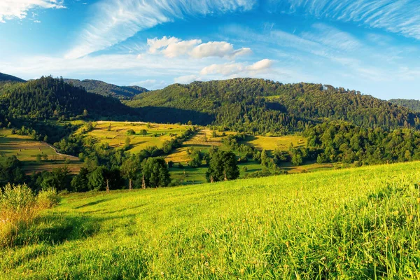 Campos Rurales Luz Mañana Maravilloso Paisaje Rural Montañoso Con Colinas — Foto de Stock