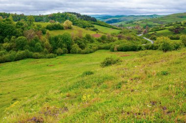 İlkbaharda Karpatya kırsalında. Dağdaki güzel kırsal alan. Taze bir sabahta ıslak çimenli çayır. Vadiden köye dolambaçlı yollar. Bulutlardaki uzak sırt