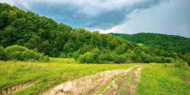 Orman kırsalından geçen toprak yol. Dağlardaki güzel yaz manzarası. Fırtınadan önce doğa manzarasında macera