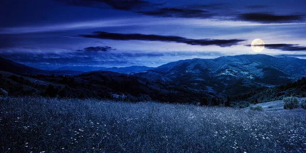 夕日に草の草原が咲く田園風景 夜の光の中でカルパチア山脈の美しい自然景観 青い空にふわふわの雲が — ストック写真
