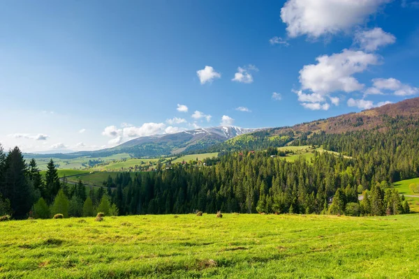 Paisaje Rural Las Montañas Los Cárpatos Maravilloso Paisaje Naturaleza Primavera — Foto de Stock