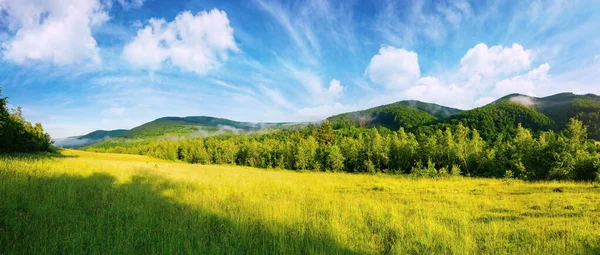 Ráno Les Travnaté Louce Krásná Krajina Létě Mlha Nad Stromy — Stock fotografie