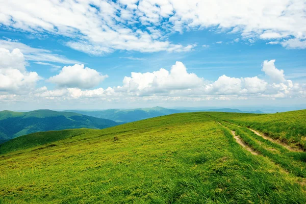 Landweg Door Alpenweide Van Karpaten Berg Prachtig Natuurlandschap Zomer Landschap — Stockfoto