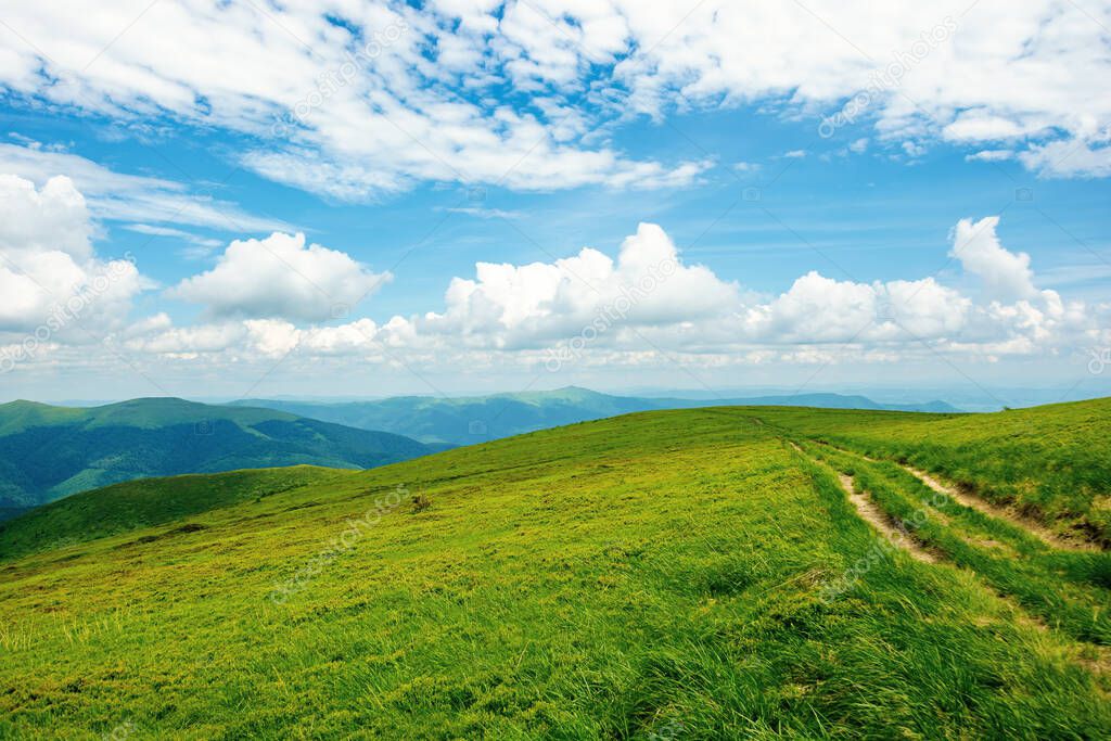 country road through alpine meadow of carpathian mountain. beautiful nature landscape in summer. scenery with open view in to the distant ridge and valley. wonderful sky with clouds above the horizon