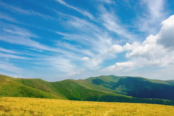 Mountain Landscape Summer Grassy Meadows Hills Rolling Distant Peak Sky — Stock Photo, Image