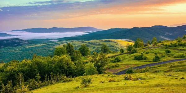 Bergige Ländliche Landschaft Morgengrauen Bäume Und Landwirtschaftliche Felder Auf Hügeln — Stockfoto