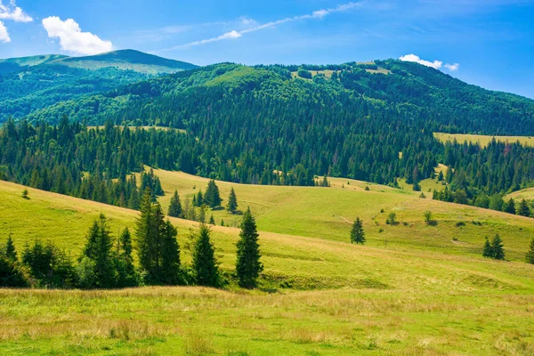 山区农村的农村地区 长满青草的山上的树 阳光灿烂的夏日风景 — 图库照片