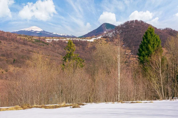 Forêt Sur Prairie Enneigée Beau Paysage Montagne Avec Pic Enneigé — Photo