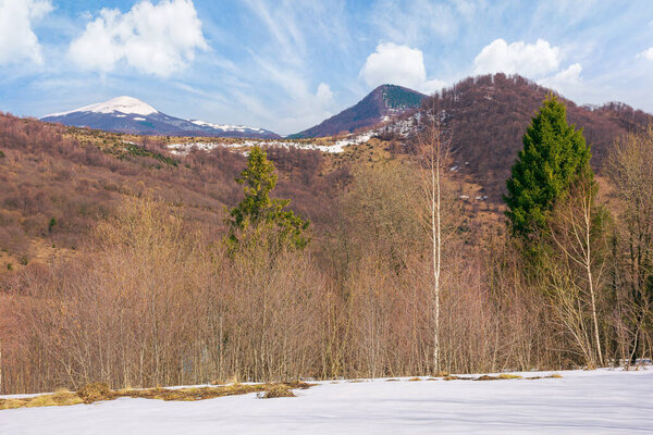 лес на заснеженном лугу. красивый горный ландшафт с покрытой снегом вершиной вдалеке в морозный солнечный день