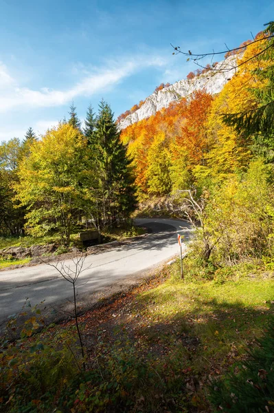 Estrada Sinuosa Através Paisagem Montanhosa Paisagem Natural Ensolarada Outono Pietrele — Fotografia de Stock