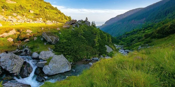 Alpin Balea Bäck Bergen Vatten Rinner Bland Stenar Och Träd — Stockfoto