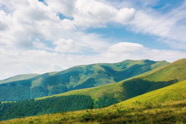 Çimenli tepeler ve Borzhava dağ sırtı çayırları. Yazın güzel bir manzara güneşli bir günde gökyüzünde bulutlar