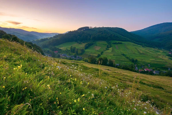 Rural Valley Landscape Dawn Beautiful Carpathian Nature Scenery Grassy Hills — Stock Photo, Image