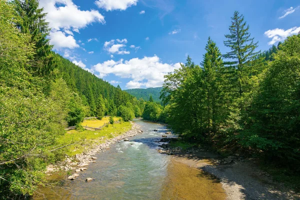 Řeka Údolí Karpatských Hor Nádherná Krajina Venkovská Pole Pobřeží Jasně — Stock fotografie