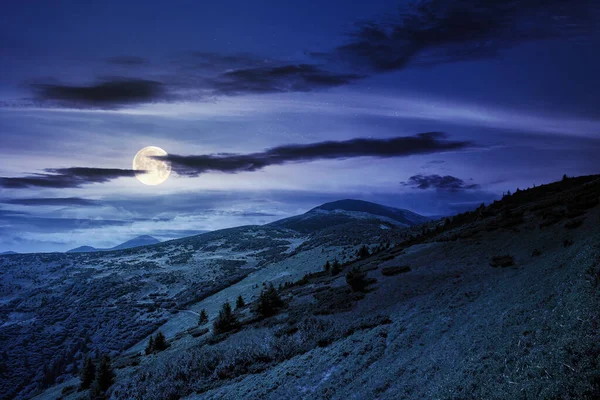 Collines Montagne Pétros Été Nuit Paysages Naturels Merveilleux Carpates Pleine — Photo