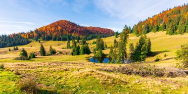 Dağlarda sonbahar panoramik manzarası. Göl kenarındaki çayırların etrafındaki köknar ağaçları sararmış otların içinde. Kayın ormanının renkli kırmızı turuncu renginde uzak bir tepe