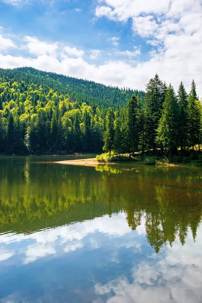 夏天的山湖 水面上的森林反射 美丽的自然景观在阳光灿烂的日子里 天空中飘扬着蓬松的云彩 — 图库照片